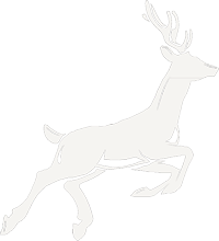 Polaris Wildlife Safety